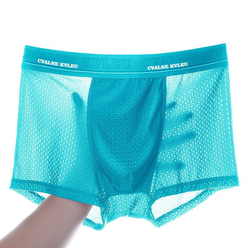 

2/4pcs/Lot Ventilate Man Boxer Brand Men Underwear Summer Ice Network Mesh Breathable Sexy Youth Boxer Shorts Four shorts Cosy