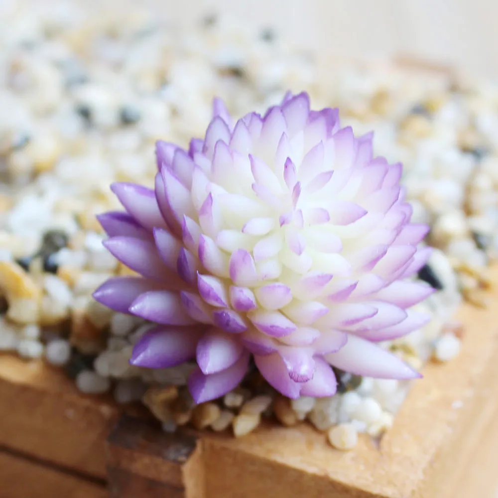 Зеленые желтые фиолетовые розовые Искусственные мини суккуленты растения для