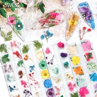 3d dried flower nail decorations natural daisy gypsophila leaf flower all for nail glitter rhinestones nail accessories