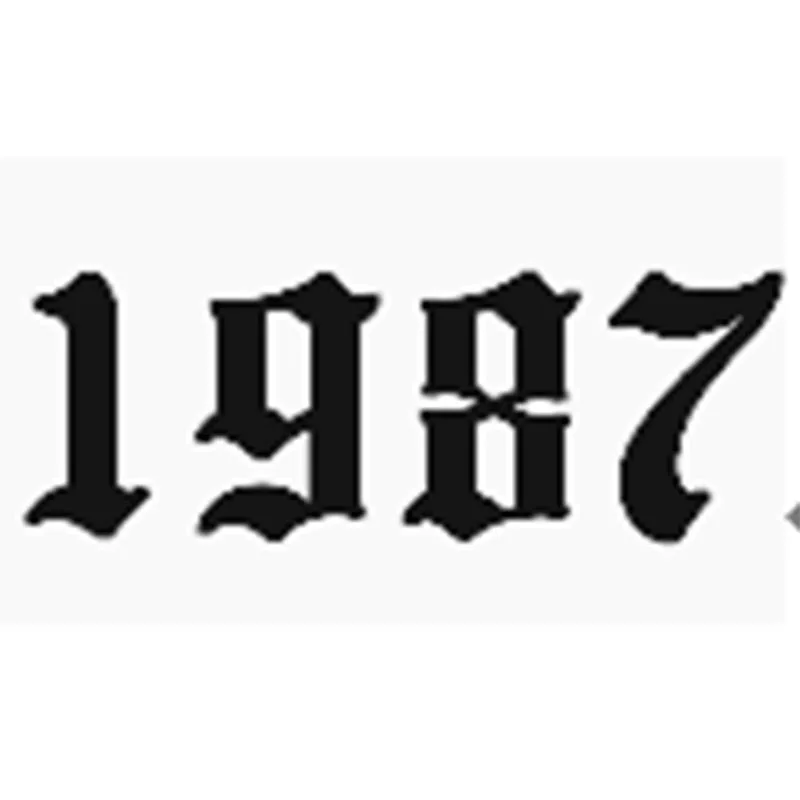1987 Год, ожерелье из нержавеющей стали для женщин, ожерелье с цифрами на заказ, ювелирные изделия на заказ, ожерелье с цифрами на год, воротник de Moda - Окраска металла: 1987
