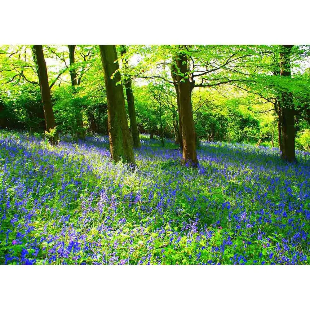 Виниловый фон для фотосъемки с изображением джунглей леса цветов пастбища