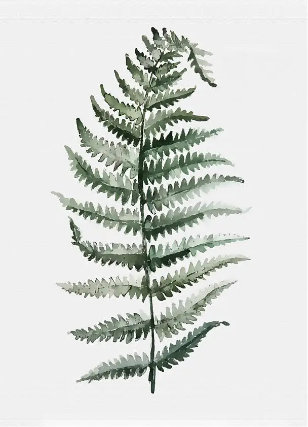 1 Monstera Deliciosa листья стены Искусство Холст Живопись зеленый стиль растение скандинавские плакаты и принты картина Современное украшение дома - Цвет: 1