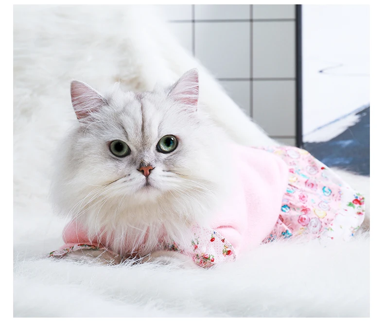 HOOPET Одежда для кошек собак осень зима теплая одежда для домашних животных свитер платье для маленьких собак кошки костюм для чихуахуа кошка пальто костюм