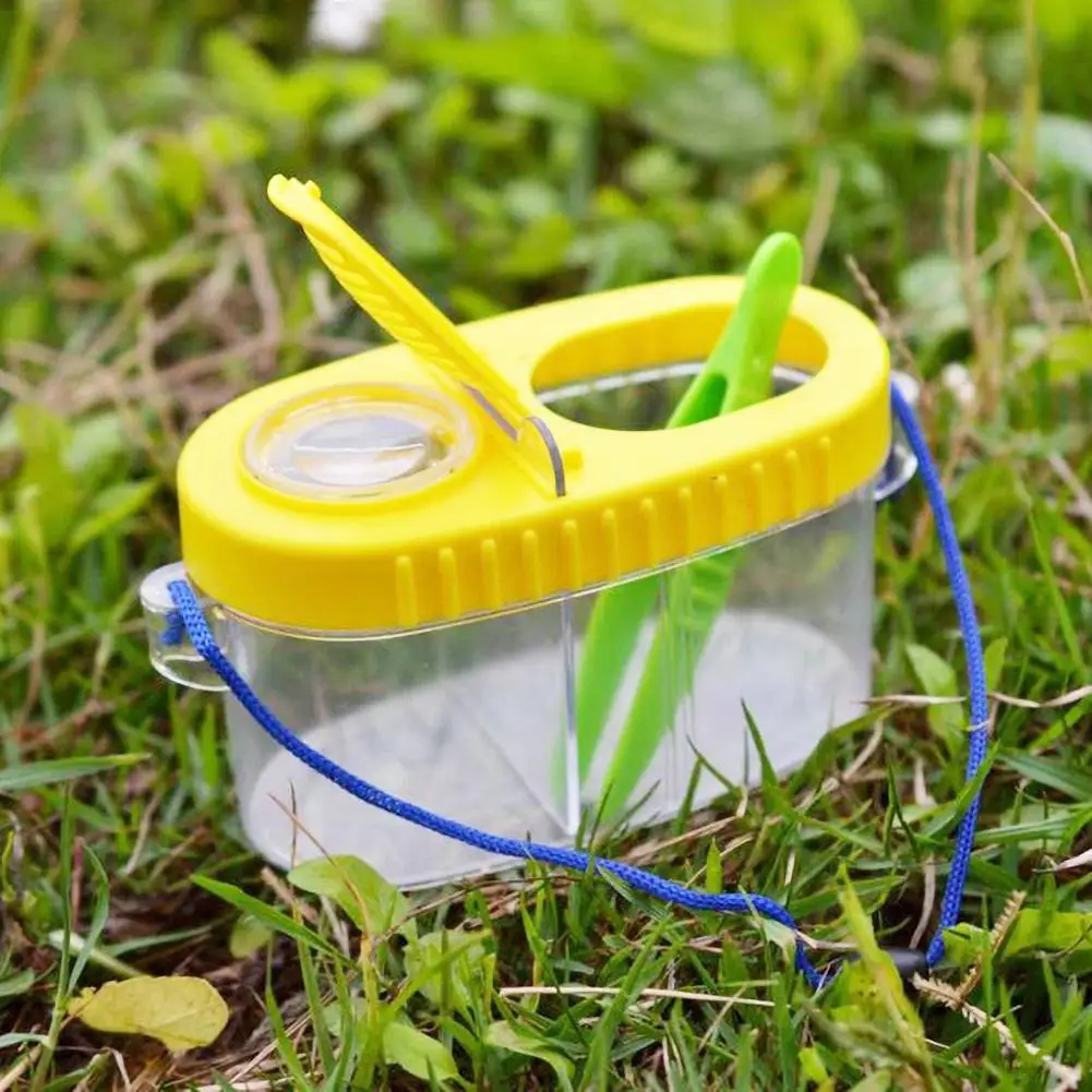 

Early Education Toy Insect Feeding Experimental Observation Box Insect Research Plastic Tool Box Set Puzzle Toy