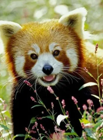 1111122222222 не удаляет | Компьютеры и офис