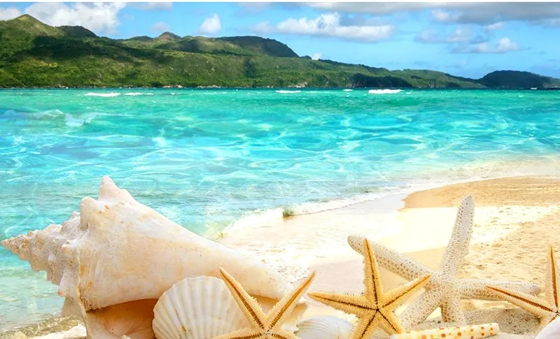 DIY Diamond Painting Shell conch Embroidery Picture Cross stitch Home Decoration Holiday gift | Дом и сад