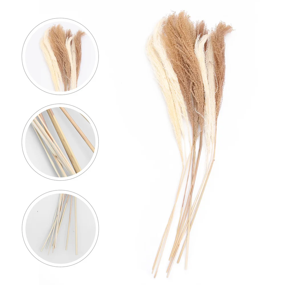 

10Pcs Natural Miscanthus Decor Wedding Decorative Flowers Home Dried Flowers
