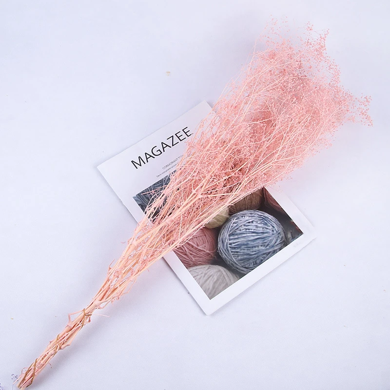 

Preserved Fresh Flower Real Touch Immortal Gypsophila Moisture Flower Home Decore Wedding Decoration Bride Holding Dried Flower