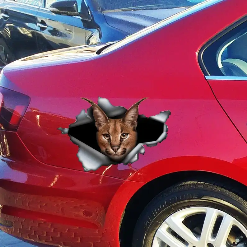 

2021 Caracal car decal , Caracal magnet, Caracal sticker