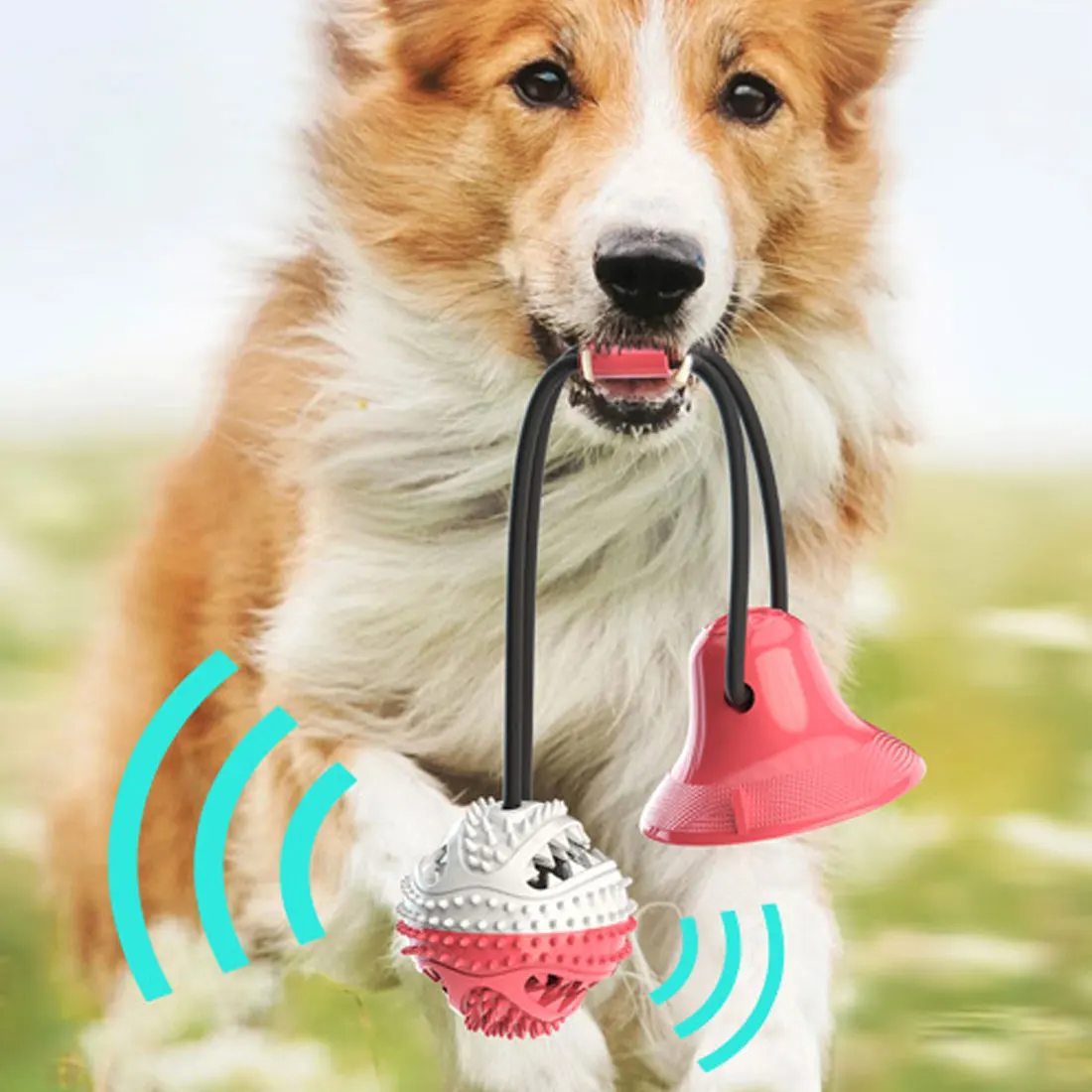 

Dog Interactive Suction Cup Push TPR Ball Toys Elastic Ropes Dog Tooth Cleaning Chewing Playing IQ Treat Toys Pet Puppy Supplies