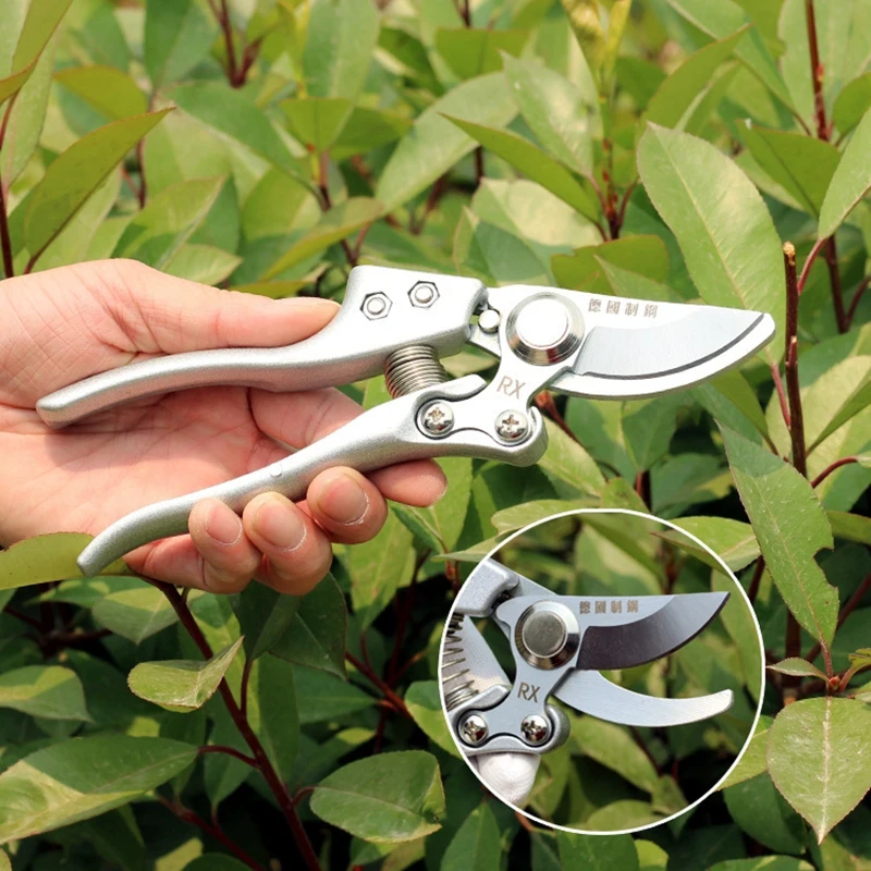 

Labor Saving Fruit Branch Shears Garden High Branch Thick Branch Shears Agricultural Fruit Flower Shears Gardening Pruning Shear