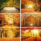 Фон Avezano для фотосъемки осенний лес дерево желтые листья детский портрет свадьба фотостудия фотозона