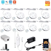 12V Wifi tuya APP Remote Control LED Under Cabinet Lighting Dimming Kitchen Counter Furniture Lighting Kit For Alexa Google Home