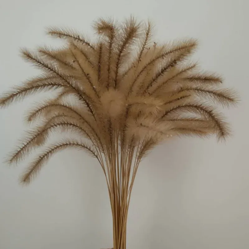 30 шт./букет украшение для дома настоящие растения необработанный цвет