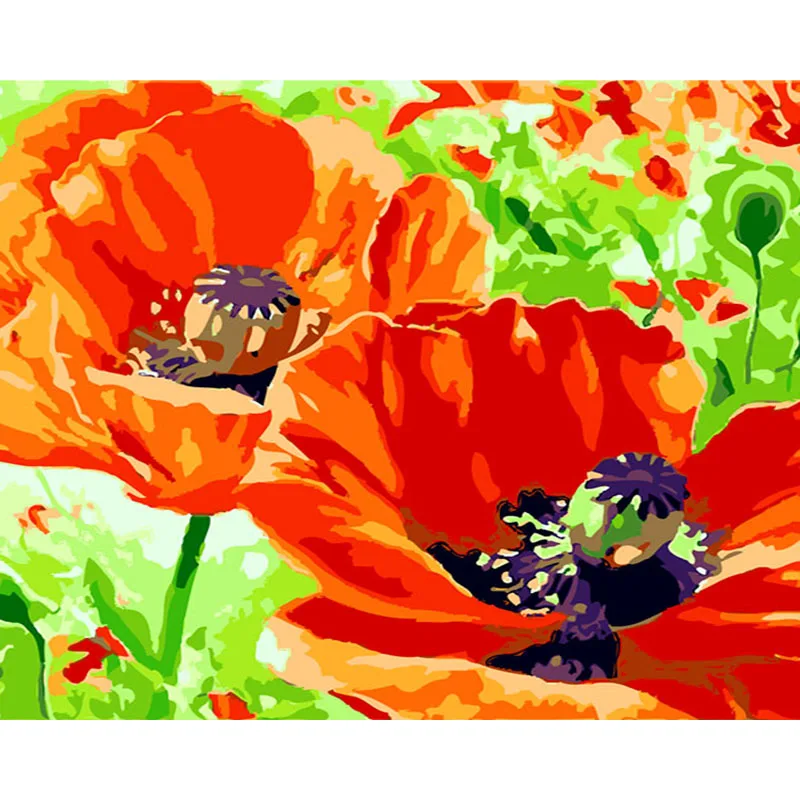 

Flower Oil Painting By Number Acrylic Paint Color Drawing HandPainted Frame On Canvas Picture By Number Home Decoration Wall Art