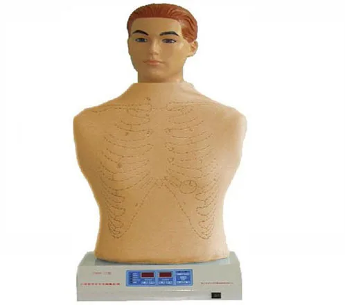 

The model of automatic computer simulator for cardiopulmonary palpation and auscultation