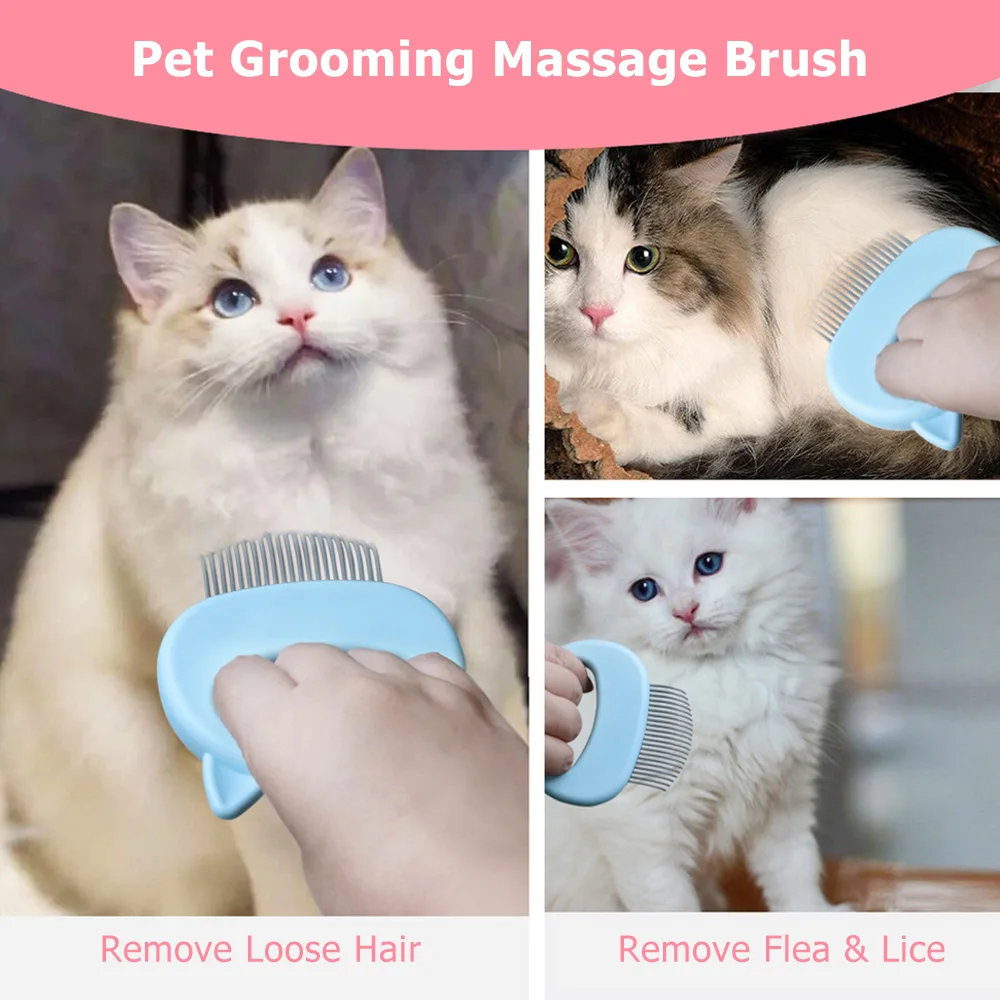 

Pet Massage Brush Shell Shaped Handle Pet Grooming Massage Tool To Remove Loose Hairs Only For Cats New