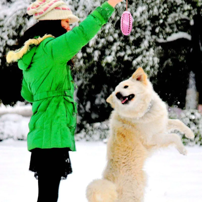 Зубная щетка для собак Жевательная прорезывания зубов у маленьких и больших
