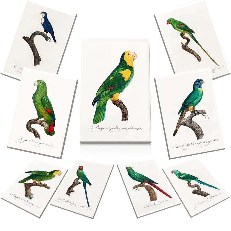 Желтая Настенная картина с плечами в виде попугая искусство на холсте