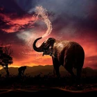 Полностью квадратная дрель 5D DIY Алмазная вышивка животное картина Слон на закате пейзаж круглая Алмазная Картина Вышивка крестом Стразы мозаика