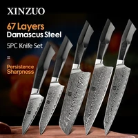 xinzuo 5 pcs kitchen knife set 67 layers damascus steel santoku cleaver chef knives with g10 handle professional chefs tools