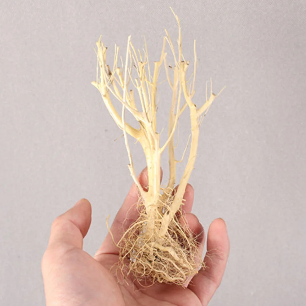 Аквариум для рыб змеи Террариум окружающая среда маленький аквариум дрифвуд