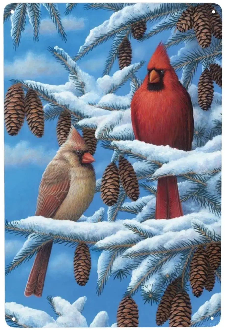 

oxghiof Funny Wall Decor Metal Tin Signs Cardinal Bird Vintage Retro Paintings Art Decoration