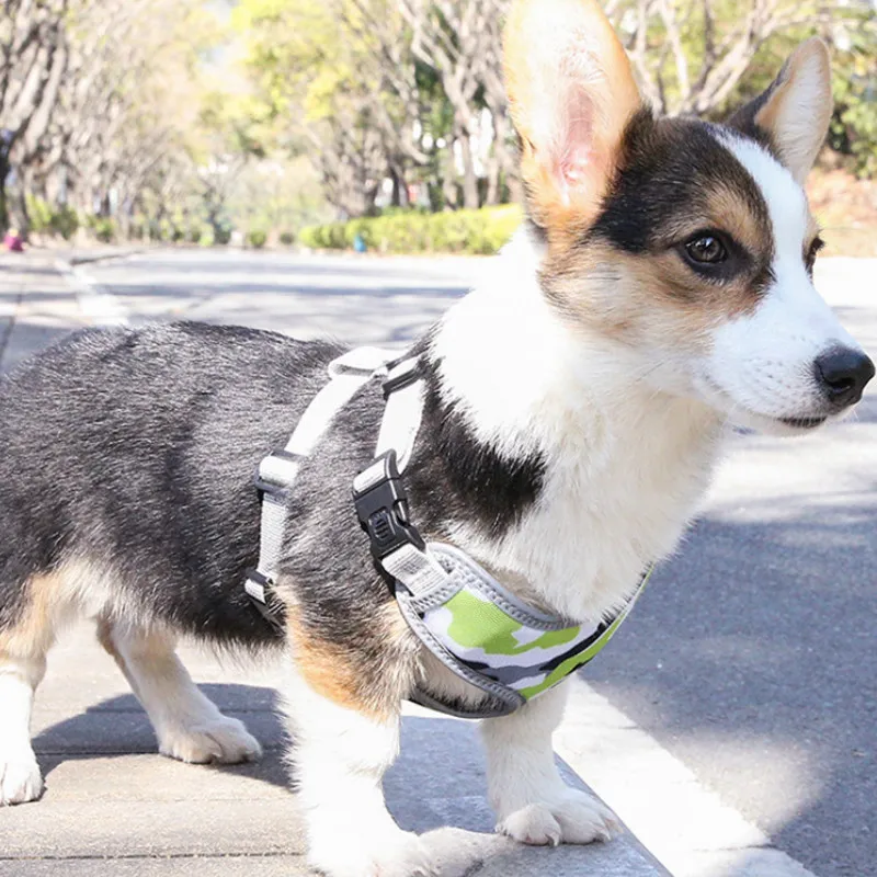 Шлейка поводок для собак нейлоновый светоотражающий регулируемый нагрудный