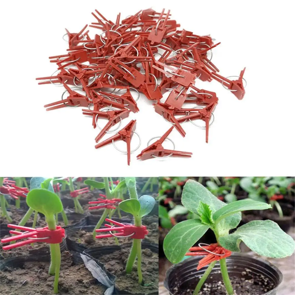 

50PCS Quality Plants Graft Clips Plastic Fixing Fastening Fixture Clamp Garden Tools For Cucumber Eggplant Watermelon