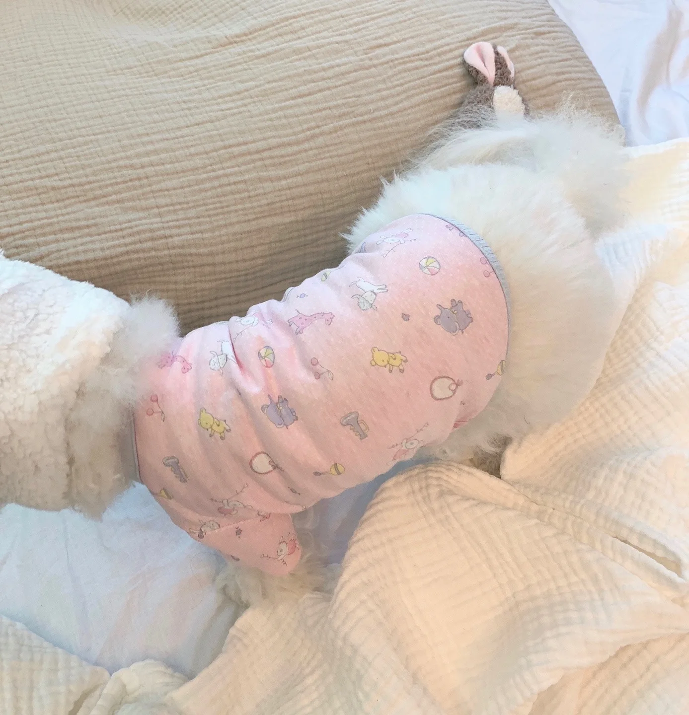 

Puppy Summer Clothes Pet Dog Clothe Cute Toddler Clothing Vest Pure Cotton Skin-friendly Air-condition Cotton Pet Dog Puppy