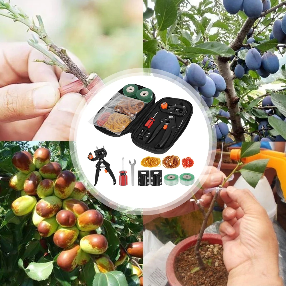 

Grafting Set Grafting Shears Scissors Grafting Set Gardening Tools Pruner Cutting Tools Kit Grafting Bonsai Tool Pruner Set