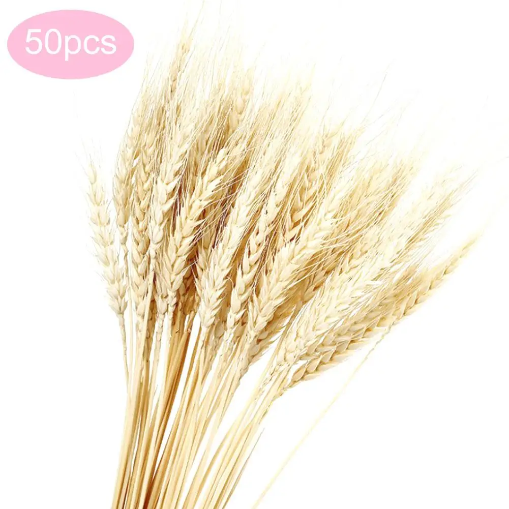50 шт./лот засушенный натуральный пшеничный карниз сухая трава украшение букетов