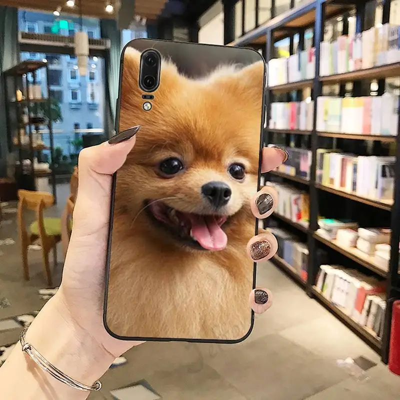 

Pomeranian dogs cute dog animal high quality Phone Case For Huawei honor Mate P 10 20 30 40 Pro 10i 9 10 20 8 x Lite