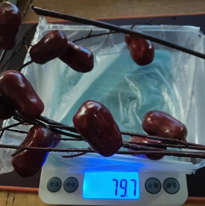 

Home Table Living Room Garden Decoration Artificial Jujube Branch Fake Plant Wedding Decorations Decorative Flower Decors
