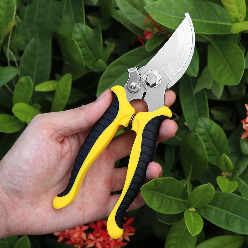 SK5 Steel Garden Pruning Shears Bonsai Branch Cutter Fruit Picking Scissors Agriculture Grafting Tool Pruners Tools | Инструменты