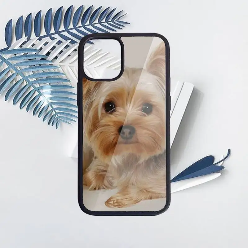 

Yorkshire terrier cute dog animal Phone Cases PC for iPhone 11 12 pro XS MAX 8 7 6 6S Plus X 5S SE 2020 XR funda