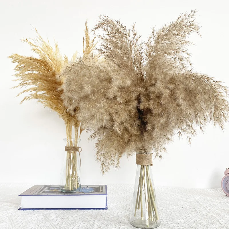 

Wedding Decor Dried Flowers Aquatic Pampas Grass Bouquet Modern Home Decoration Accessories for Living Room Photography Props