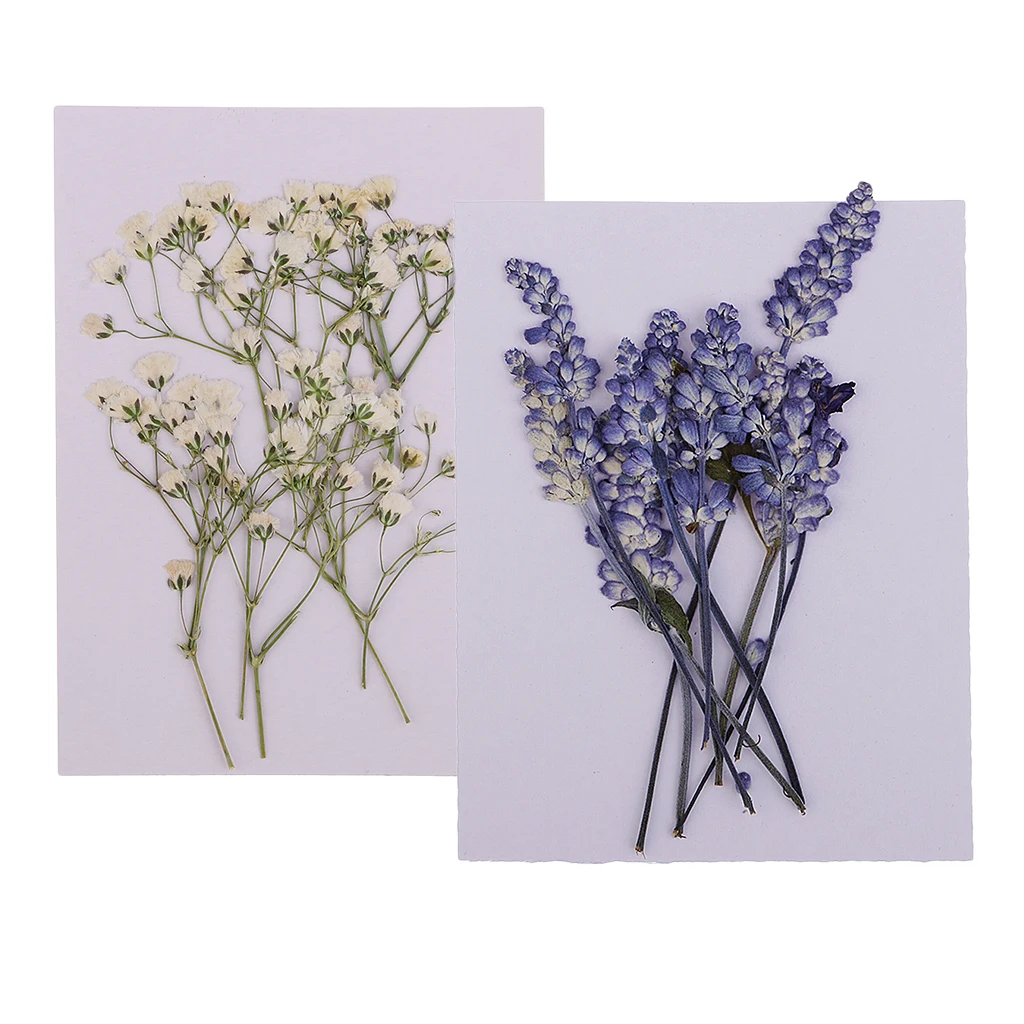 

20pcs Natural Dried Flowers DIY Craft Pressed Dried Flowers for Jewelry Making Handmade bookmarks Resin Ornaments