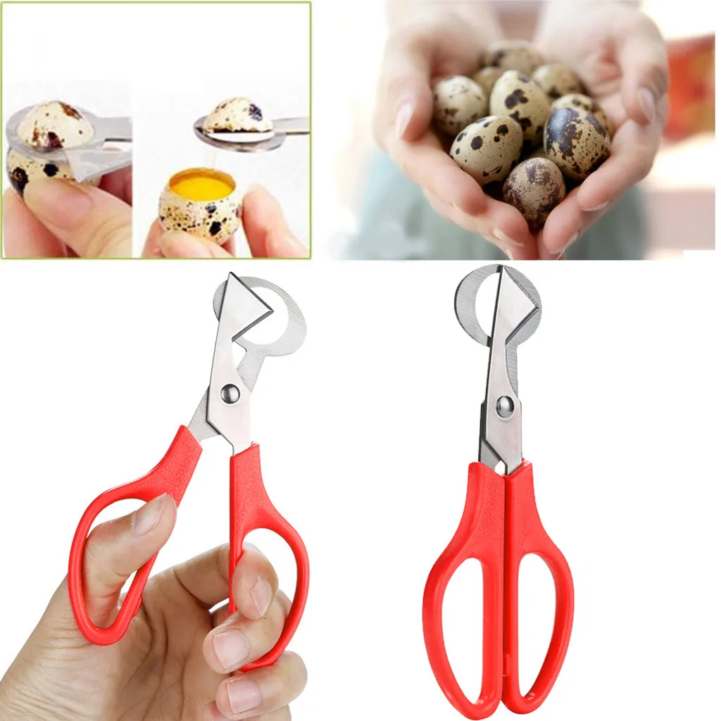 Egg Pigeon Quail Scissors Cracker Opener Cigar Cutter Stainless Steel Tool Housewife Clipper Accessories Gadgets Кухонные | Дом и сад