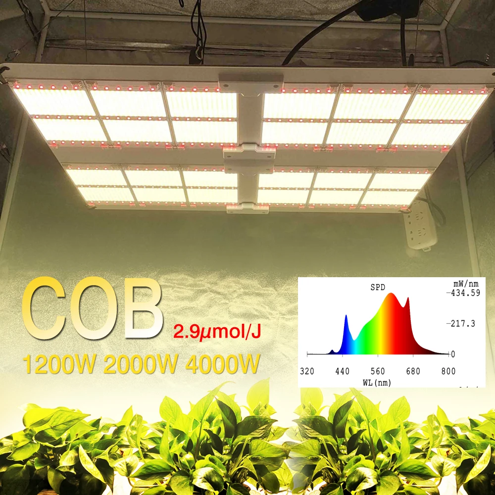 COB 1200W 2000W 4000W LED Grow Light Full Spectrum Mix 660nm Dimmable Meanwell Drive Commercial Indoor Medical Plant Veg Flower