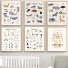 Новая Настенная картина в скандинавском стиле для детской комнаты с милыми мультяшными животными, украшение на холсте, настенные картины для гостиной, домашний декор