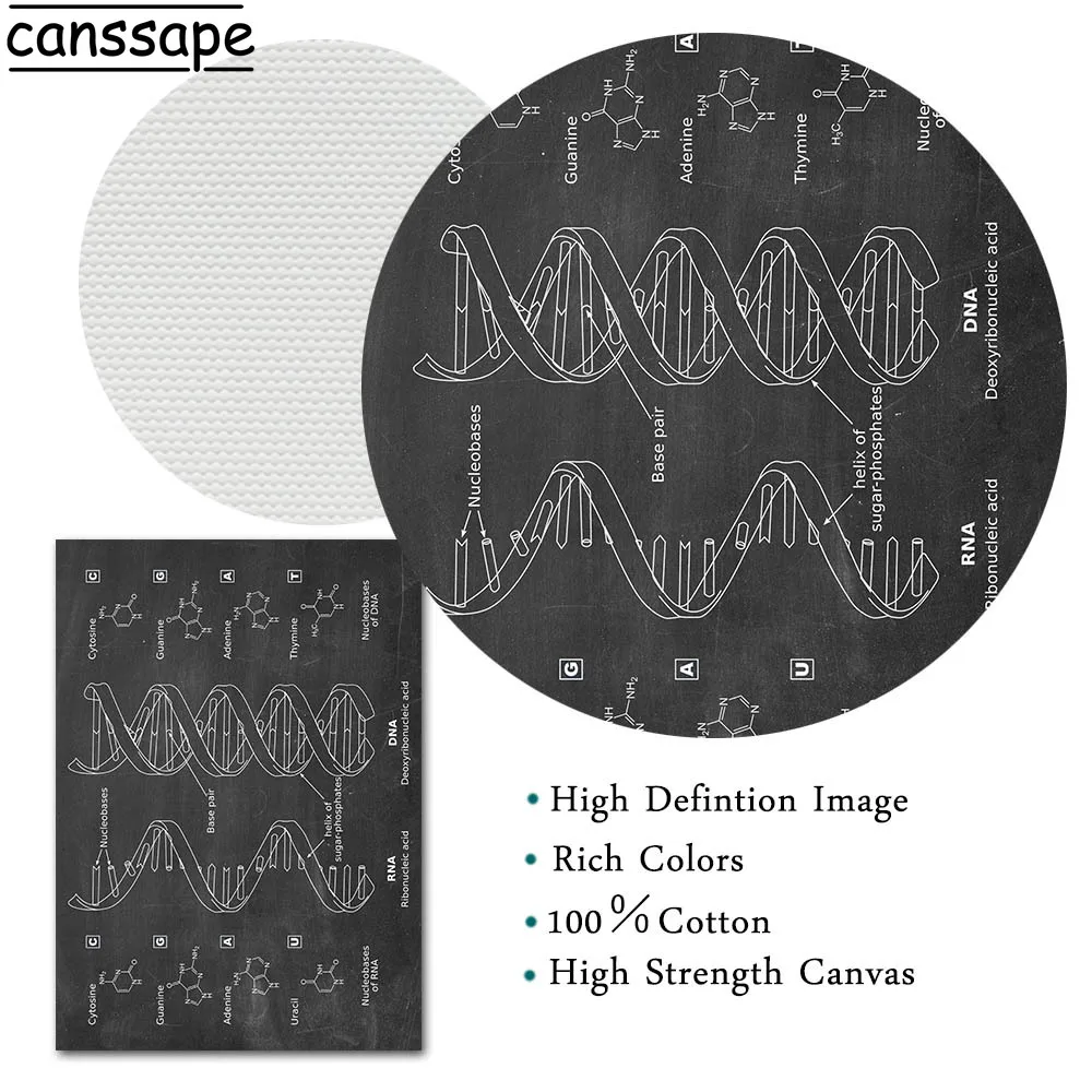 Плакат ДНК биология искусство принт генетика холст плакаты винтажные чертежи