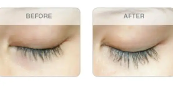 

New 2020 Lash Food Eyelash Enhancer Longer Thicker Stronger Lashes 3ml / 0.10 oz Dropshipping