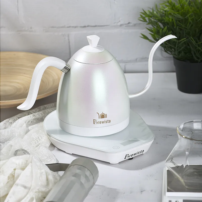 Brewista-cafetera artesanal de doble pared con cuello de cisne, tetera con control de temperatura variable, enchufe europeo, 600ml-3
