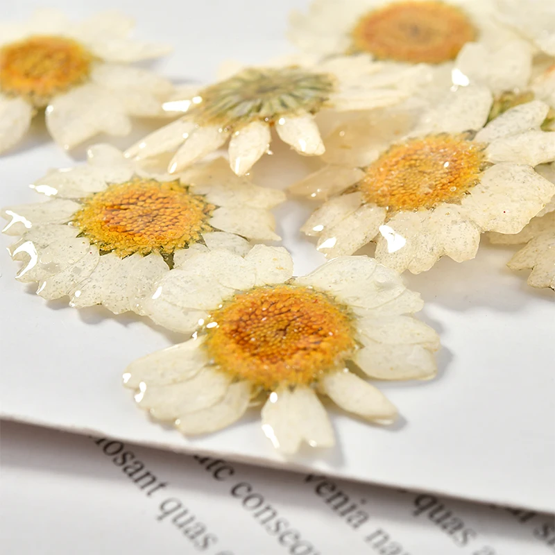 Материал аксессуары для Diy серьги Мори цветок падение клей маленькая Маргаритка