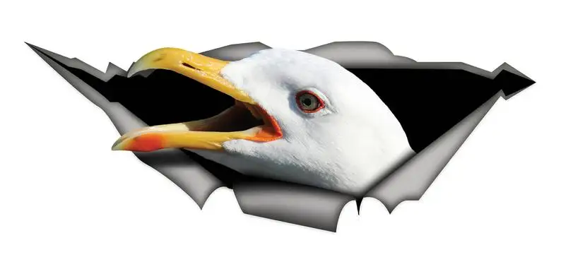 

2021 Sticker, Gull car sticker , gull decal, bird sticker