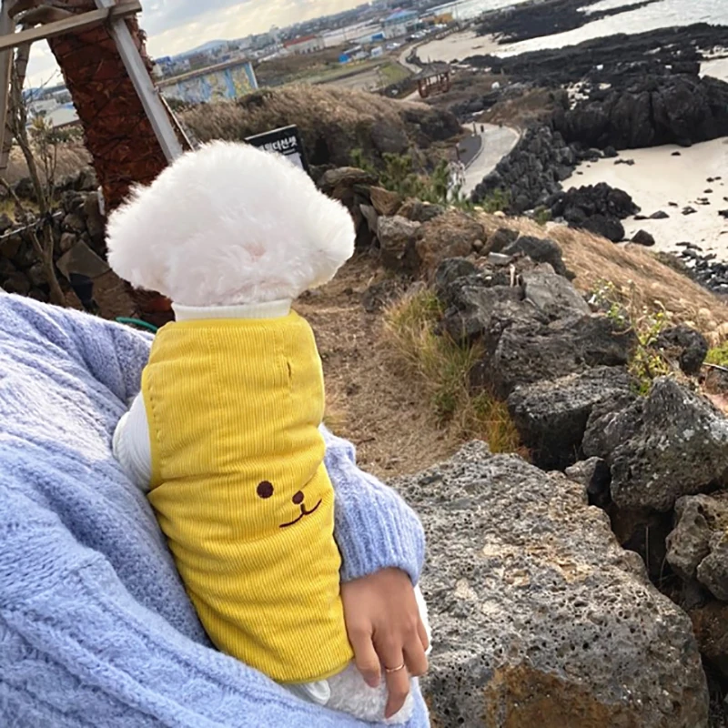 Chaqueta con estampado de dibujos animados para perro, abrigo para mascota abrigado, Gato de peluche, ropa c&aacute;lida para cachorro, Oto&ntilde;o e Invierno-4