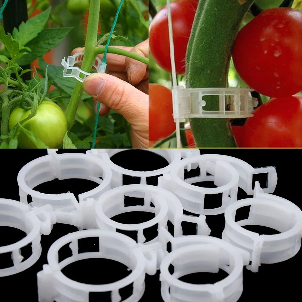 50/100 шт 30 мм Пластик завод Поддержка зажимы для помидор висит из мешочного тика