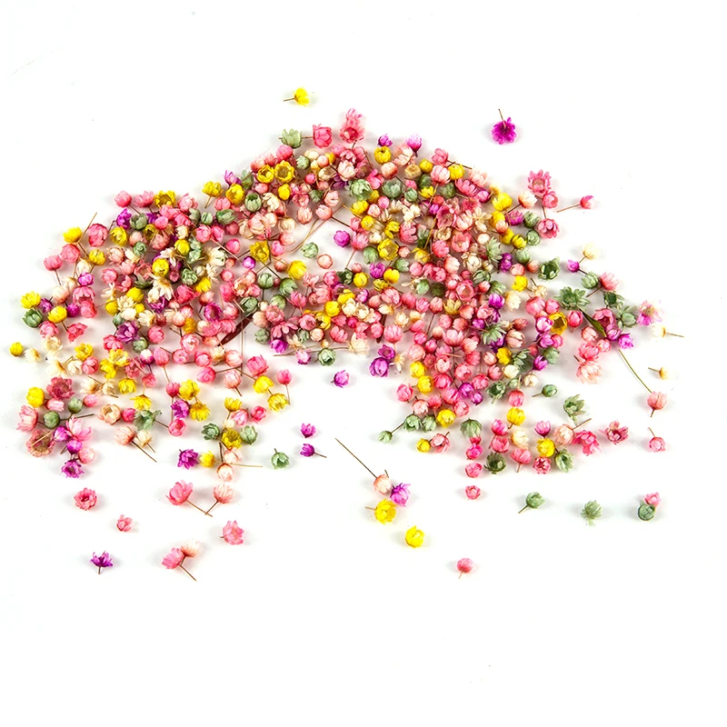 200pc Real Dried Flowers For DIY Art Craft Epoxy Resin Candle Making Jewellery Glass Cover Ball Filler Accessories - купить по