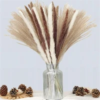 30pcs reed pampas wheat ears rabbit tail grass natural dried flowers bouquet decoration hay for wedding party bohemian room home